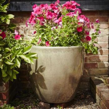 Glazed Ceramic Classic Egg Pot - Cream Olive Green