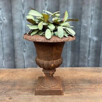 Cast Iron Osborne Urn - Rust