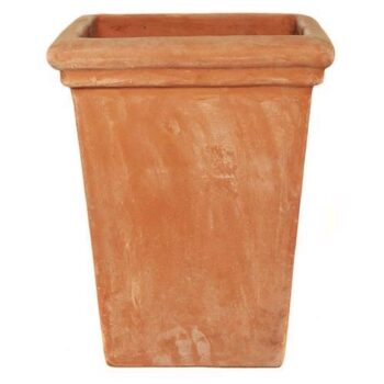 Terracotta Camelia Square