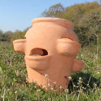 Terracotta Classic Herb Pot