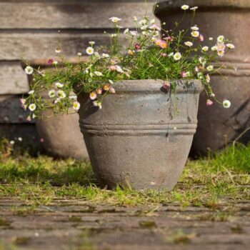 Old Ironstone 3-Banded Flower Pot