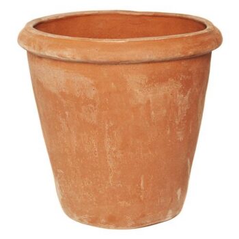 Terracotta Camelia Flower Pot