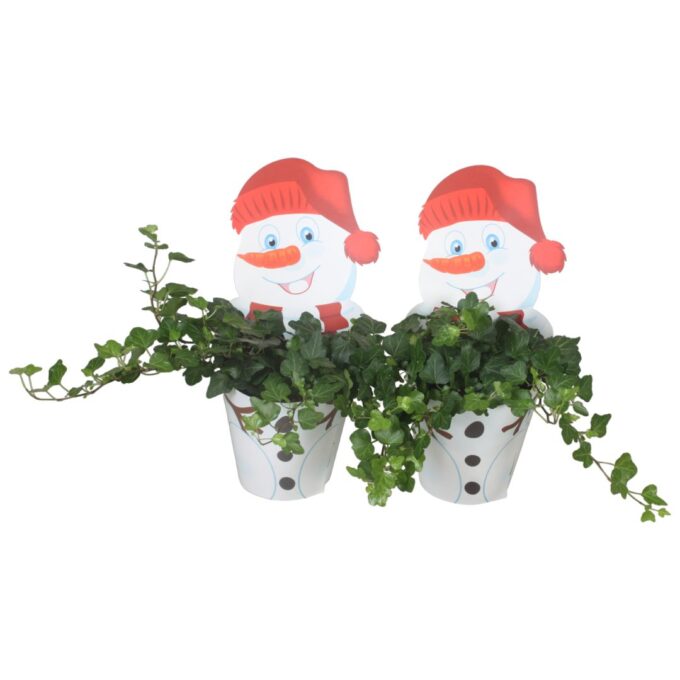 Potcover Sneeuwpop met Hedera
