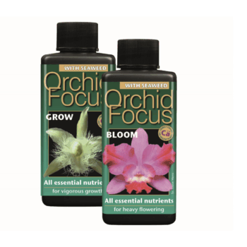 Orchid Focus GROW 300 ml