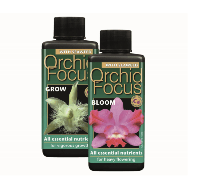 Orchid Focus GROW 300 ml