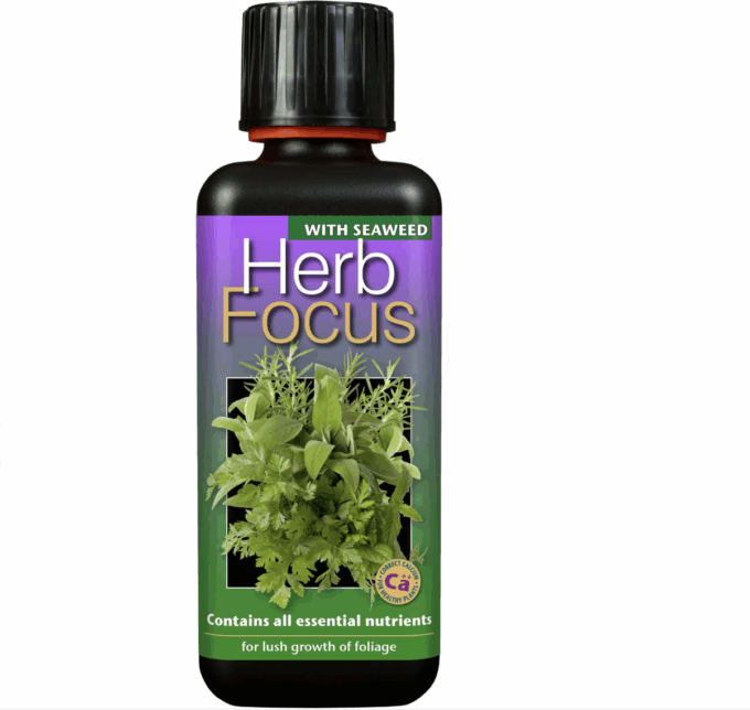 Herb Focus 1L