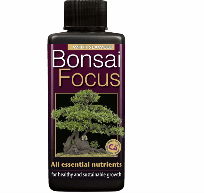 Bonsai Focus 300 ml