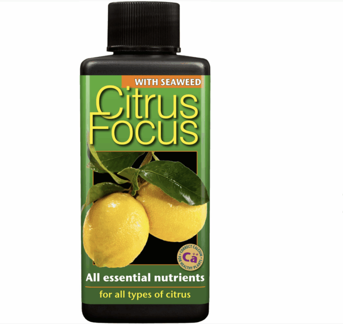 Citrus Focus 1L