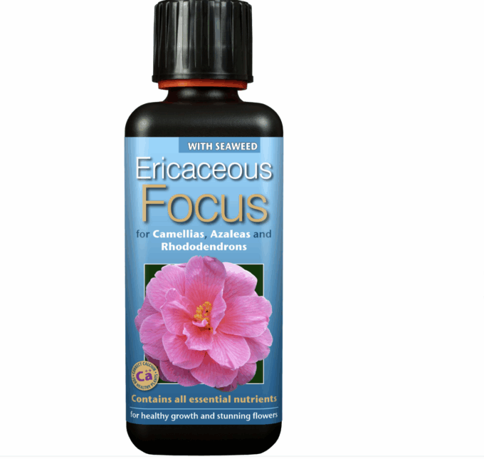 Ericaceous Focus 300 ml