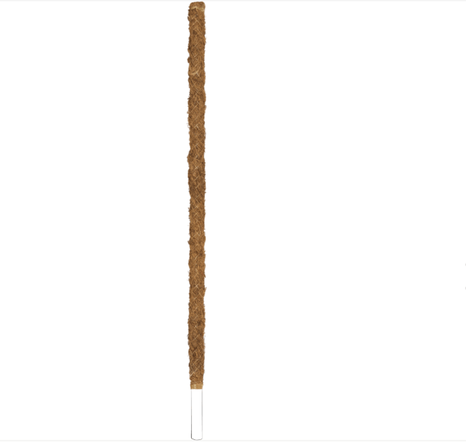 BetterGrow Coir Pole Bamboo 70 cm