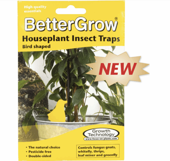 BetterGrow Extra Large Insect Traps 10 pk