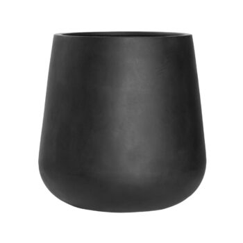 Pax M