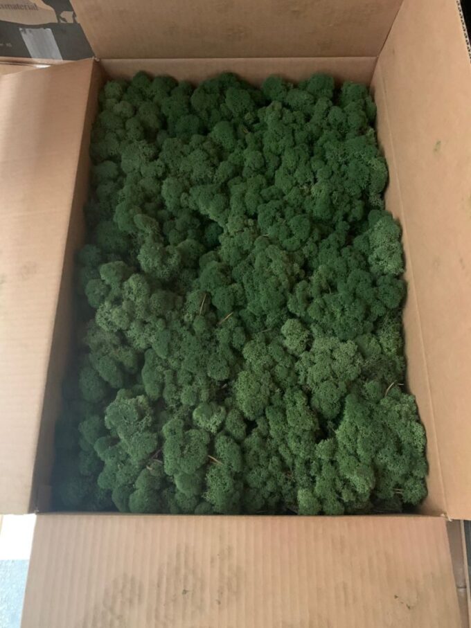 Ijslandsmoss (2 layers) 3 kg 0,45m2