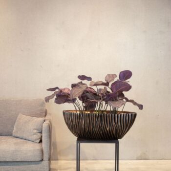 River table vessel, 75x25/25 cm, antique bronze (previously article 27948)