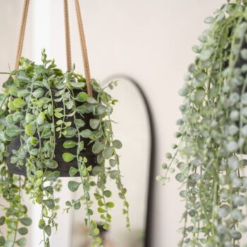 Patt XL (hanging)
