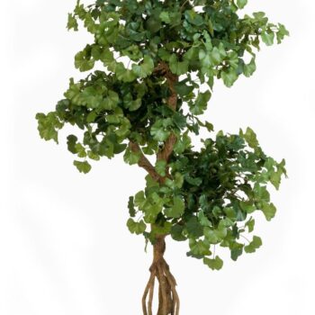 Flame retardant sweet gingko on crazy trunk