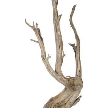 Decowood Ghostwood raw