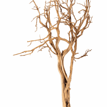 Decowood Ghostwood sandblasted
