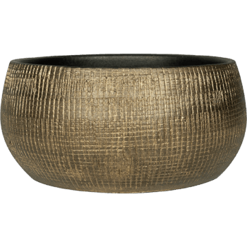 Bowl Ryan shiny gold D28 H13