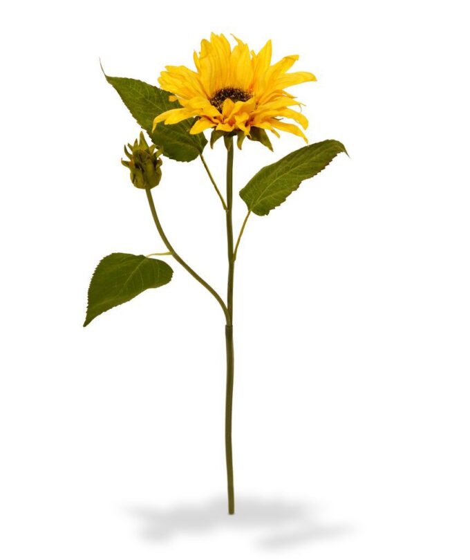Zonnebloem kunsttak S Deluxe