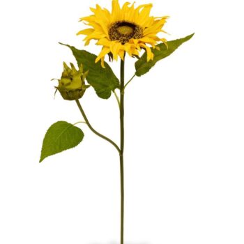 Zonnebloem kunsttak M Deluxe