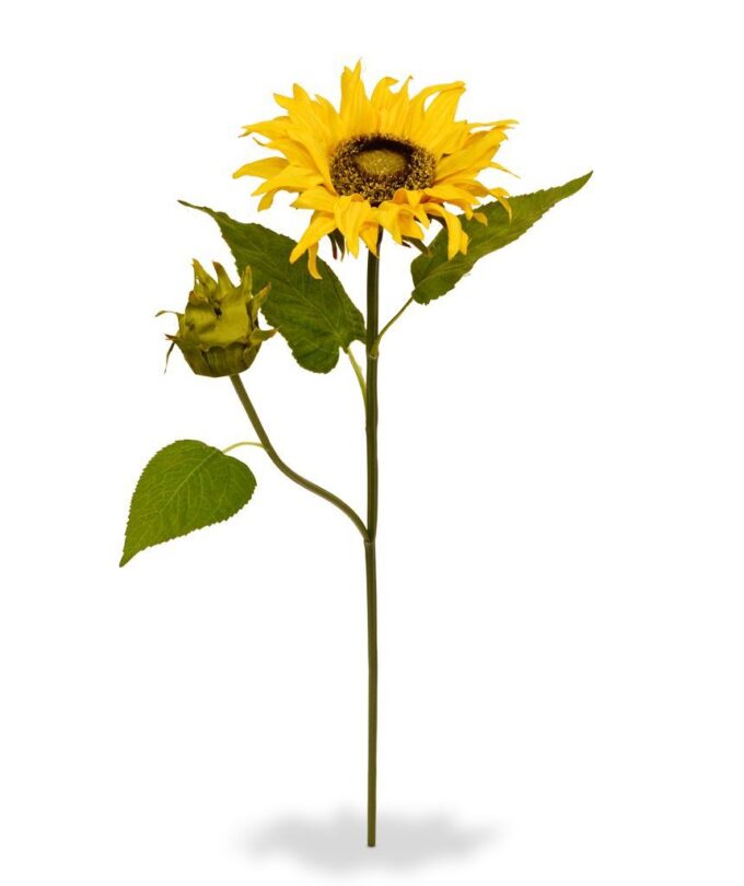 Zonnebloem kunsttak M Deluxe
