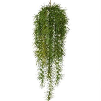 Asparagus Spengeri kunst hangplant