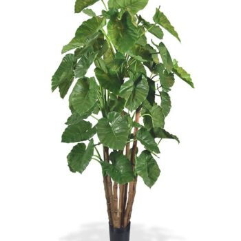 Alocasia Calidora Giant deluxe kunstboom
