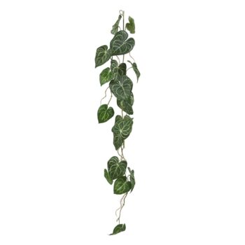 Anthurium Clarinervium Guirlande kunst hangplant