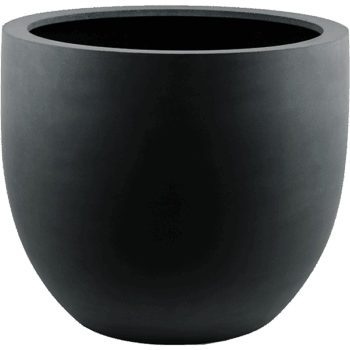 Argento New Egg Pot 36