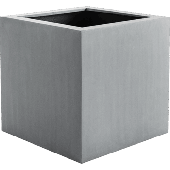 Argento Cube 50