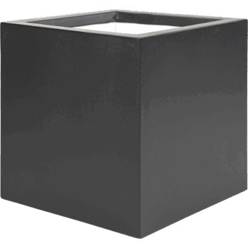 Stretto Cube
