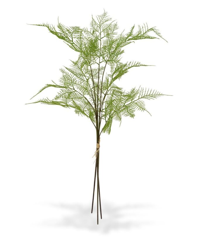 3x Asparagus kunsttak  - bundel