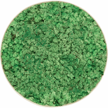 Moss Painting Nova Frame Antique White-concrete 100% Reindeer (Grass Green)