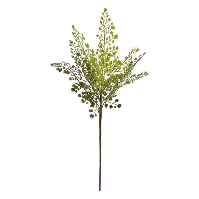 Adiantum Kunst Varentak