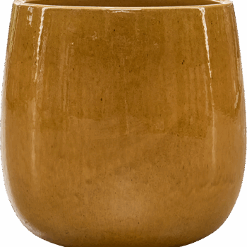 Balloon Pot Honey