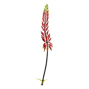 Agave Kunsttak  Oranje