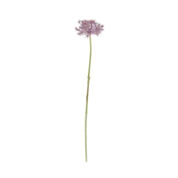 Allium Kunstbloem  Paars