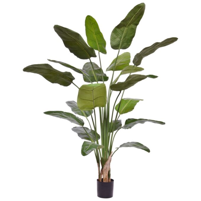 Strelitzia Nicolai Kunstplant  Deluxe