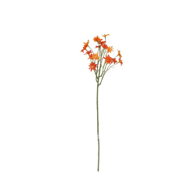 Zee Aster Kunsttak  Oranje