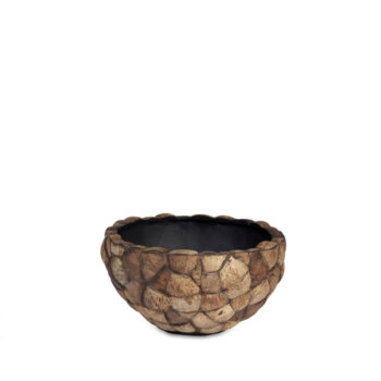 Bosco Bowl Coconut