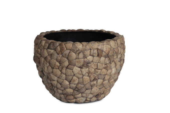 Bosco Bowl Large Coconut
