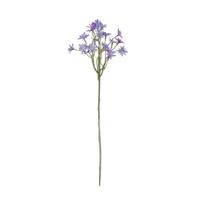 Zee Aster Kunsttak  Blauw