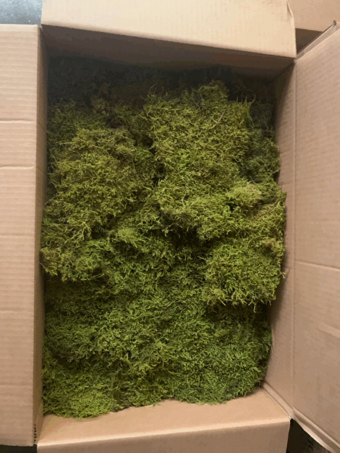 Flat moss preserved ( 2layers) 3kg 1,2m²  ( 42 )