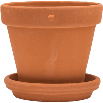 Terra Cotta Wall Pot With Saucer