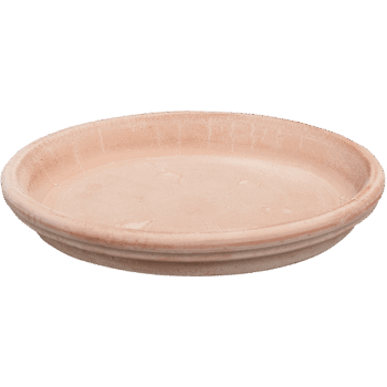 Terra Cotta Saucer Antiques