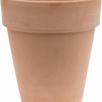 Terra Cotta Flowerpot High Antiques