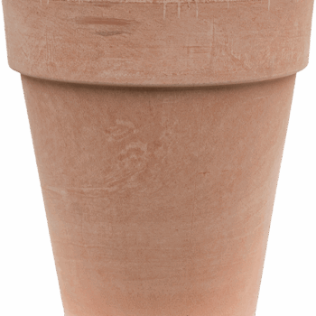 Terra Cotta Flowerpot High Antiques
