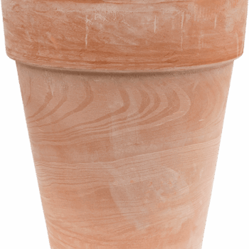 Terra Cotta Flowerpot High Antiques
