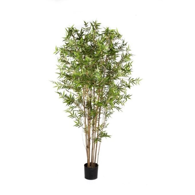 Japanese oriental bamboo